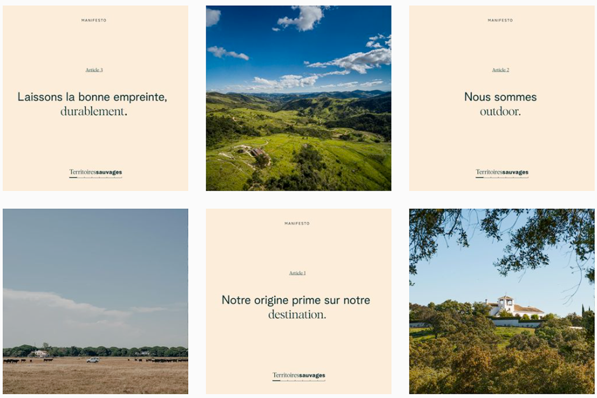 Animation mur Instagram Territoires Sauvages