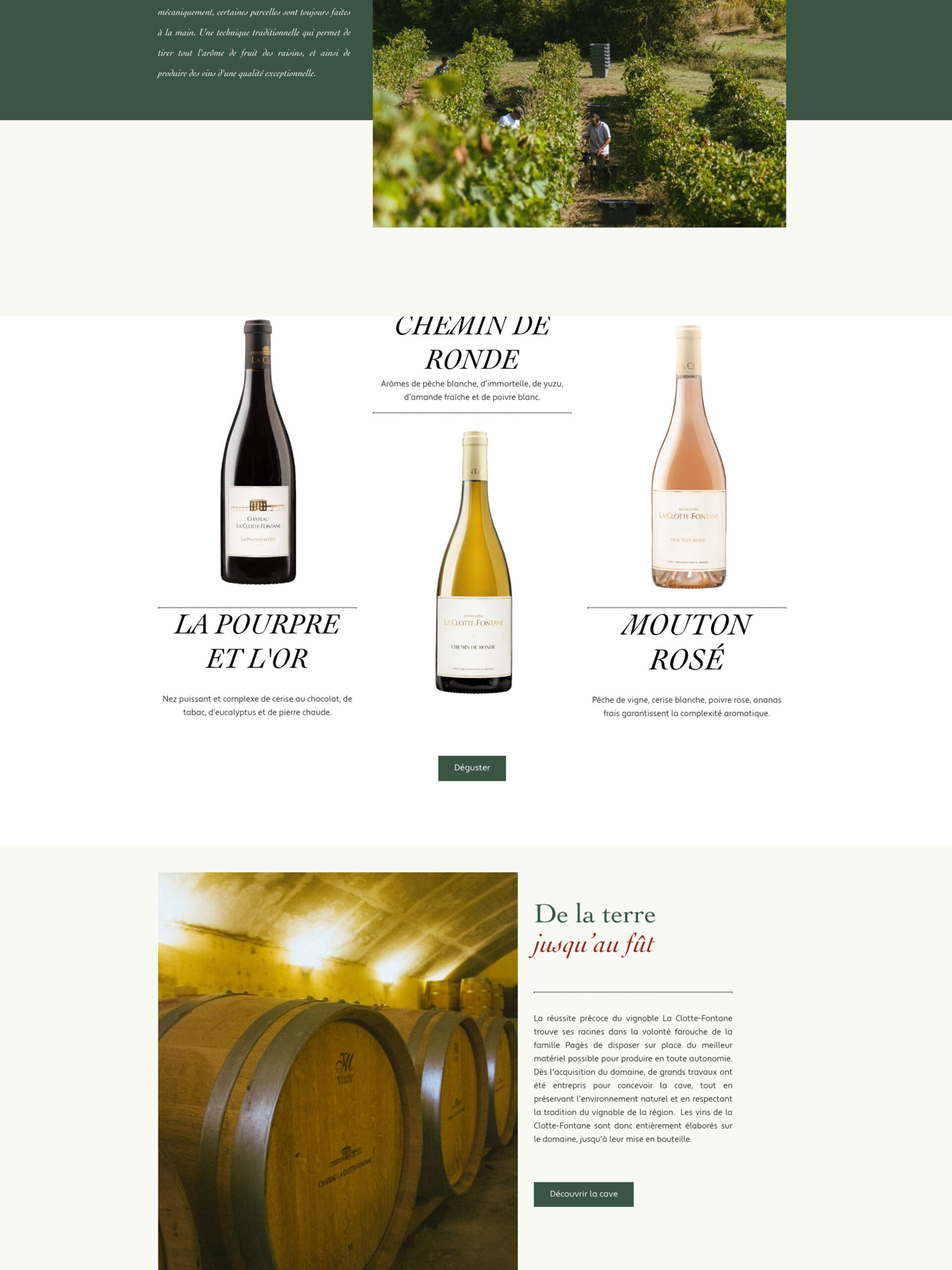 Design system du site du domaine viticole Château La Clotte Fontane à Salinelles
