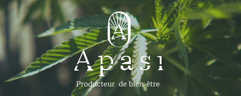 Apasi